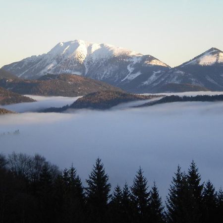 Hoehenstein Lunz am See Pokoj fotografie